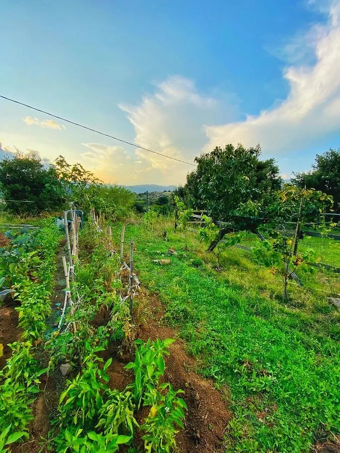 Locanda Tipica Sa Corte Oliena