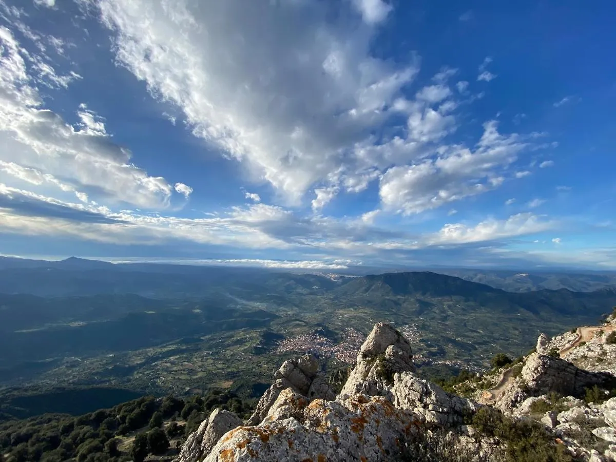 Locanda Tipica Sa Corte Oliena Penzion